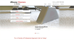 Desktop Screenshot of professionalcleaner.co.uk